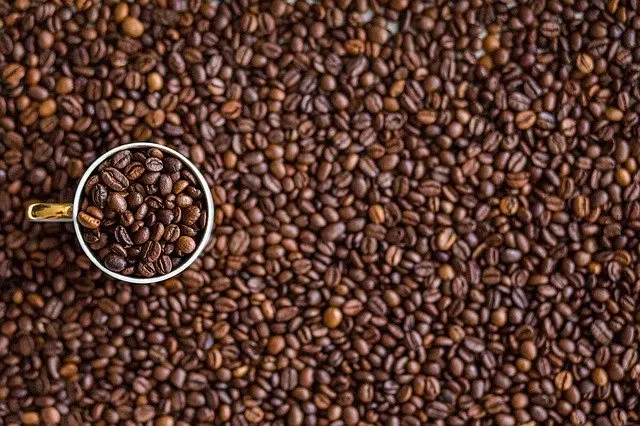 Granos de Café