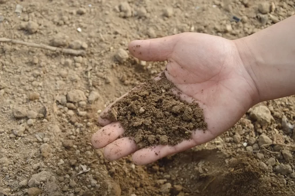 Fertilizante natural para plantas